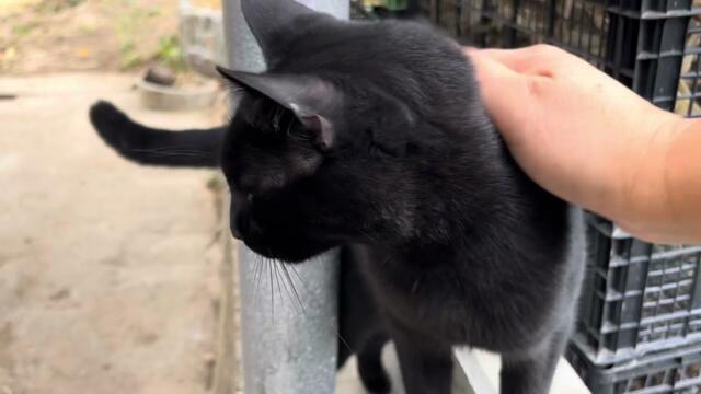 Здравейте…тук съм❣️ :))))