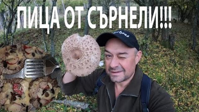 ПИЦА ОТ СЪРНЕЛИ Parasol Mushroom Pizza MACROLEPIOTA #mushroom #forage #wildmushrooms #nature