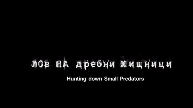 ЛОВ НА ДРЕБНИ ХИЩНИЦИ  - БГ ФИЛМ (2010)