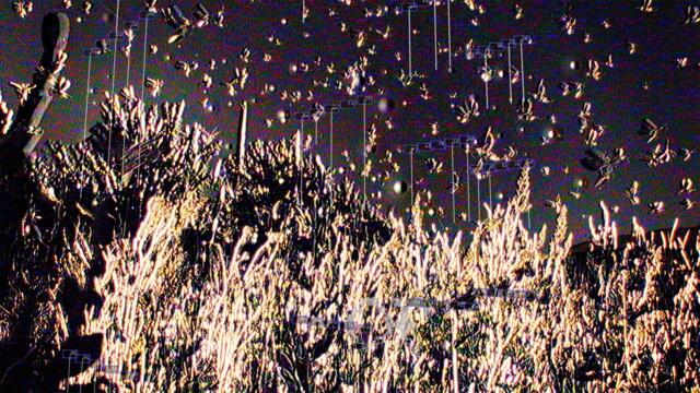 Oneohtrix Point Never - Measuring Ruins (Official Video)