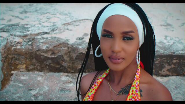 Nel Ngabo & Platini P - Look at you (Official Video)