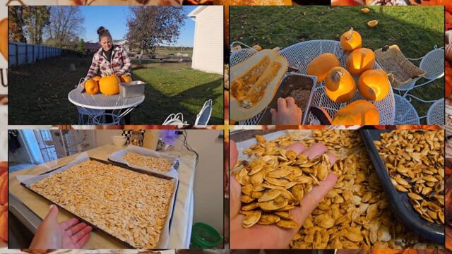 СЕРИАЛ СЕЛЬЧАНКА В АМЕРИКЕ. 