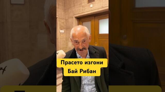 Прасето изгони Бай Рибан! #българия #bulgaria #новини #величие #политика