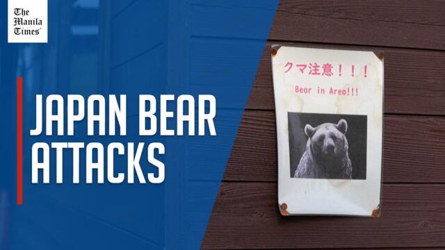 Japan governor asks for military help against 'dire' bear attacks