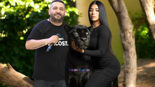 ORK FAVORIT 2026 - CHERNATA KOTKA MIX KUCHEK 2026