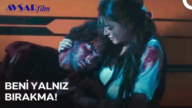 Zarok Sevdiği Kadın İçin Hayatını Tehlikeye Atıyor | Sevimli Tehlikeli