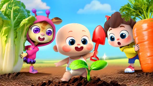 Learn Vegetables and Fruits | Let's Plant Vegetables | Nursery Rhymes & Kids Songs | BabyBus