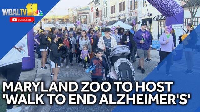 Maryland Zoo hosts '2025 Walk to End Alzheimer's'