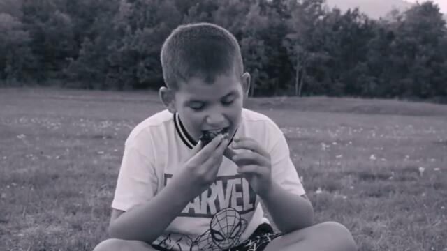 ŠALE SAŽIĆ  - RODNI KRAJ   ( Official video 2025 )