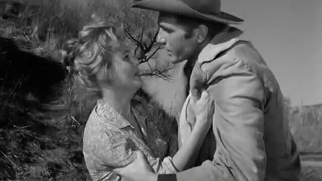 Сурова кожа (Rawhide) S01 E18