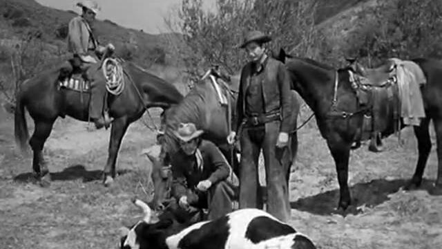 Сурова кожа (Rawhide) S01 E19