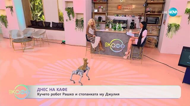 От света на AI: Кучето робот Рашко и неговата стопанка Джулия - „На кафе“ (31.10.2025)