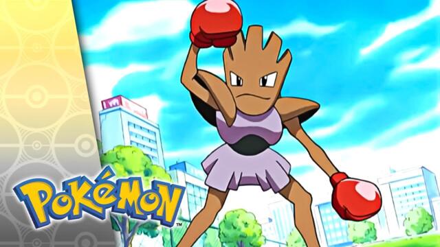 Gotta Catch Ya Later! | POKÉMON FULL EPISODE 63 | Season 5