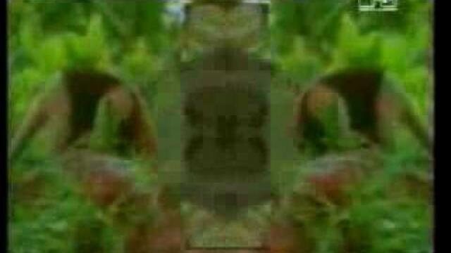 Sven Väth - Ritual Of Life (Tribal Acid Mix Edit) (Official Video)