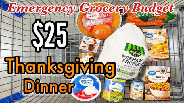 DIRT CHEAP $25 THANKSGIVING DINNER | Real-Life Emergency-Budget EASY Holiday Recipes | Julia Pacheco