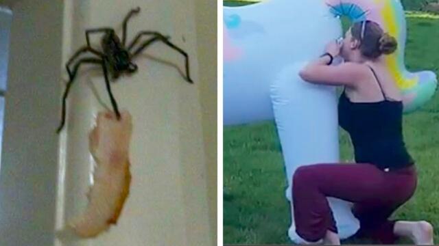 И смех, и слёзы в одном кадре