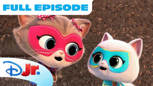 SuperKitties Full Episode! 🐱🐾 | "Cat's Pajamas / Country Kitty" | @disneyjr