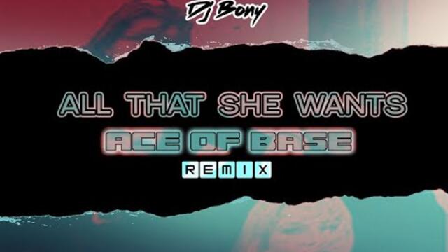 All That She Wants (remix) - Ace of Base - Dj Bony
