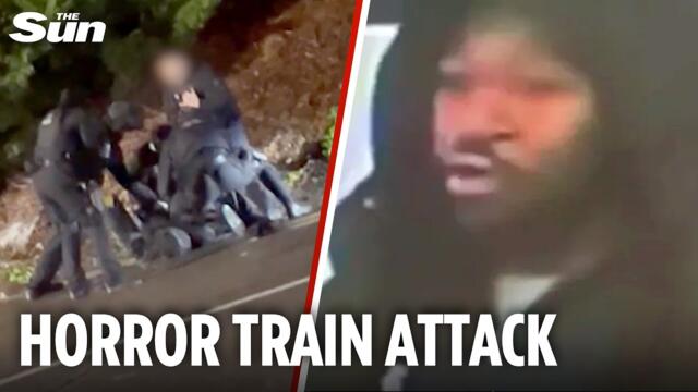 Man charged with attempted MURDER over Huntingdon train stabbing rampage