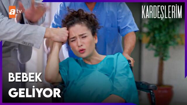 Aybike'nin suyu geldi, Süsen ve Ömer yine evlenemedi - Kardeşlerim