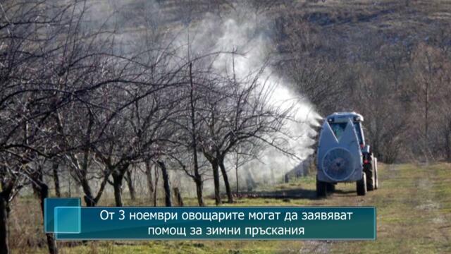 Oвощарите могат да заявяват помощ за зимни пръскания