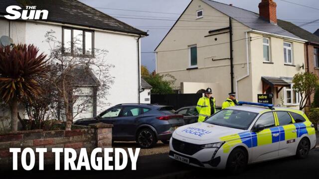 Baby killed by family dog after ‘fireworks sent animal into panic’ in Welsh village