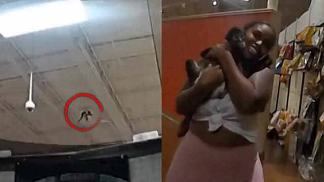 Pet Monkey Gets Loose In Spirit Halloween In Texas