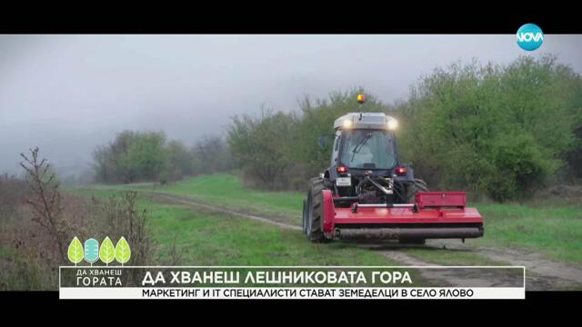 Да хванеш гората (02.11.2025)