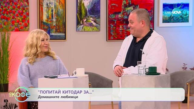 „Попитай Китодар“: За домашните любимци - „На кафе“ (04.11.2025)