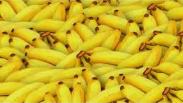 тони дачева и оркестър кристал-3 кила банани (Lirycs)