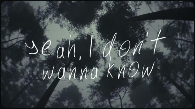 Mt. Joy & Gigi Perez | In The Middle (Official Lyric Video)