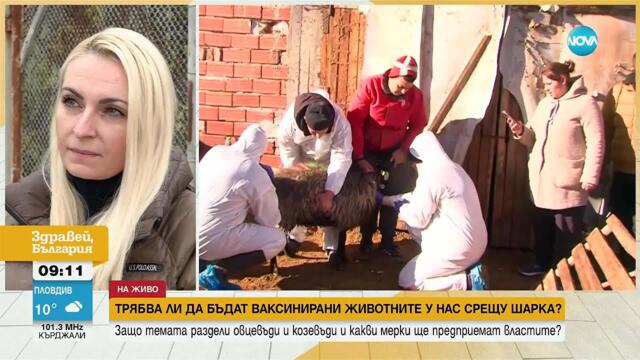 Евентуалната ваксинация на животни срещу шарка раздели овцевъди и козевъди у нас