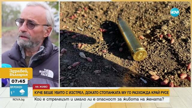 Застреляха куче в Русенско, докато стопанката му го разхожда