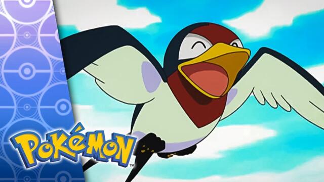 You Never Can Taillow | POKÉMON FULL EPISODE 4 | Season 6
