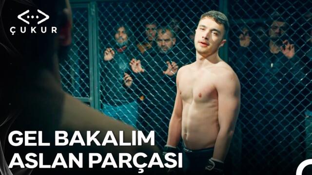 Akın Ringte Fırtına Gibi Esti! - Çukur 3. Sezon 17. Bölüm