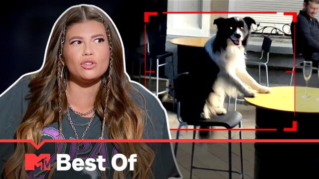 Ridiculousnessly Popular Videos: Loner Edition 🧍Ridiculousness