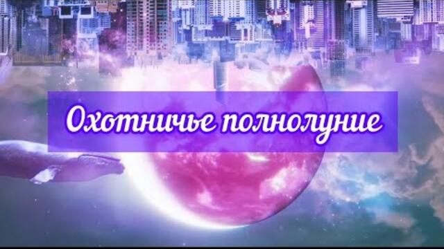 🍁🏹🌕 ОХОТНИЧЬЕ ПОЛНОЛУНИЕ 🌕🏹🍁 ВОЗМОЖНОСТИ ДЛЯ ВАС ❤️‍🔥💲🌳