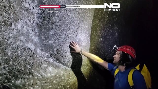 Researchers discover giant spider ‘Megacity’ in cave on Albania-Greece border