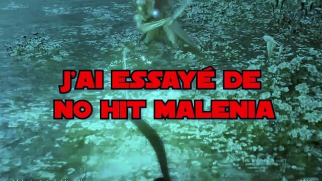 No hit malenia 2