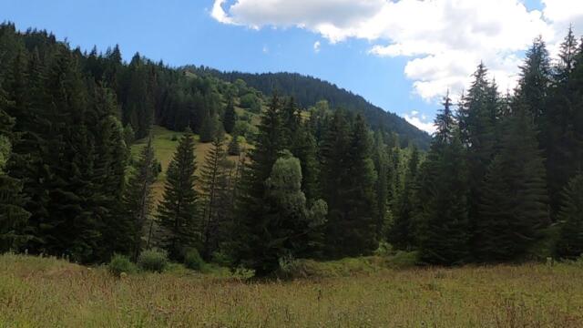 Компас /220/ Родопи - част десета. От хижа Перелик до село Солища.