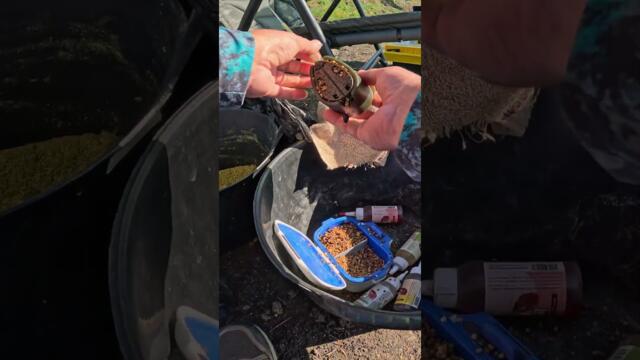 Страхотен риболов на Шаран на яз. Рашовец 10 Монтажи, стръв, захранки #shorts  #fishing #carpfishing