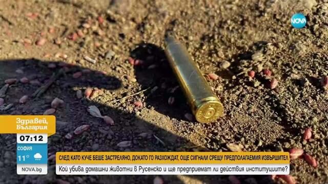 Множество сигнали за застреляни домашни кучета в Русенско