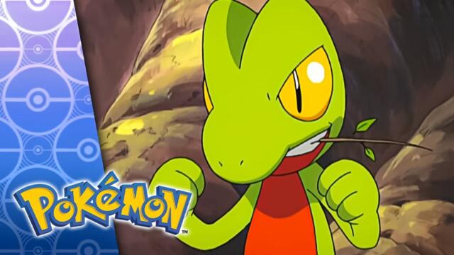 Tree's a Crowd | POKÉMON FULL EPISODE 7 | Season 6