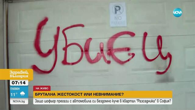 Кой е шофьорът, прегазил кучето Мая, и за какво наказание настояват хората в „Разсадника“