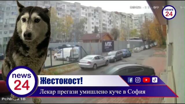 Д-р Ненад Цоневски от ВМА уби жестоко животно прегазено с колата му в ж.к. „Разсадника“ в София