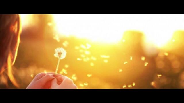 Медитация за състрадание  – Разгръщане на Любяща Доброта