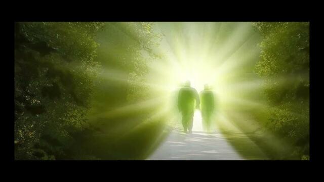 Духовно пътуване с ангела хранител : Реката на Живота - Приятелите, които идват и си отиват