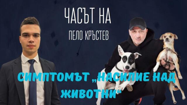 Янчев: Мъж прегази куче умишлено - искаме строги наказания. Борисов и Пеевски да повдигнат темата.
