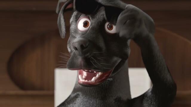 DOGGY Dog - as a pianist