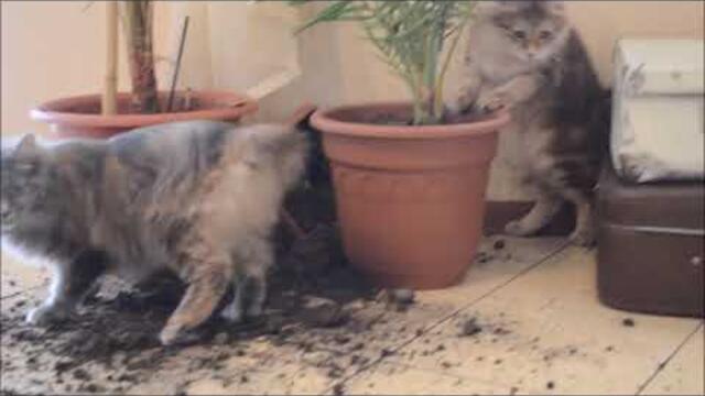 16 декабря 2023 г.